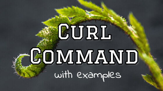 11-curl-command-examples-in-linux